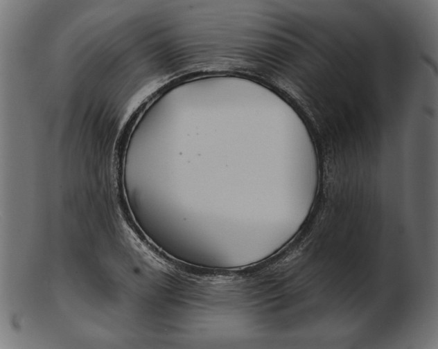 X0000103221122200809111502