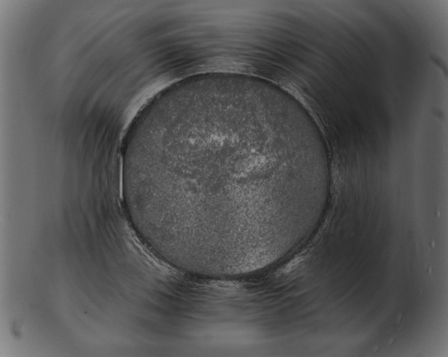 X0000103221123200809111502