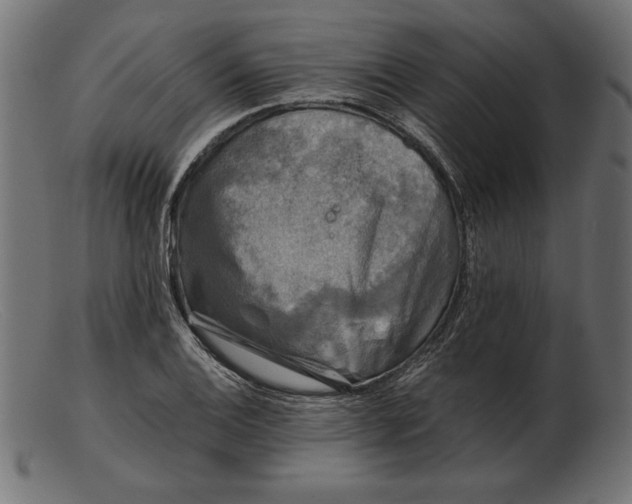 X0000103221124200809111502