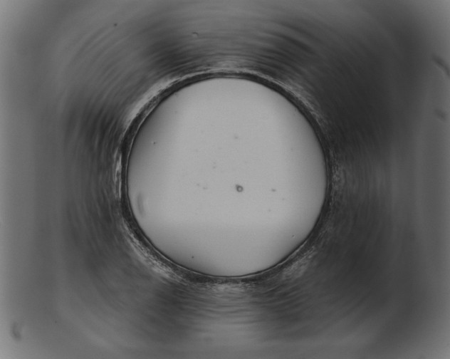 X0000103221126200809111502