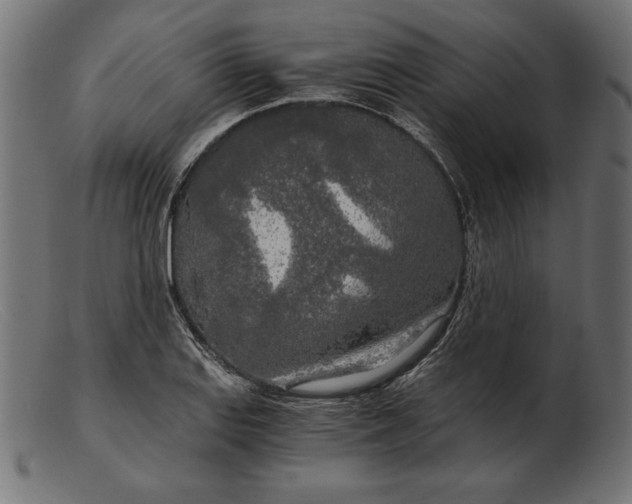 X0000103221127200809111502