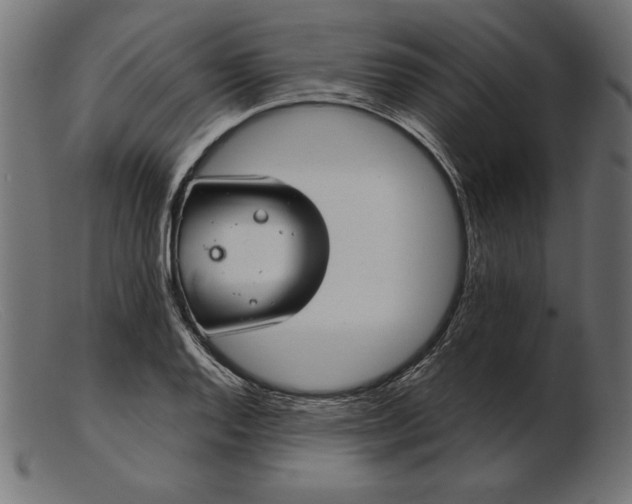 X0000103221128200809111502