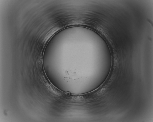 X0000103221129200809111502