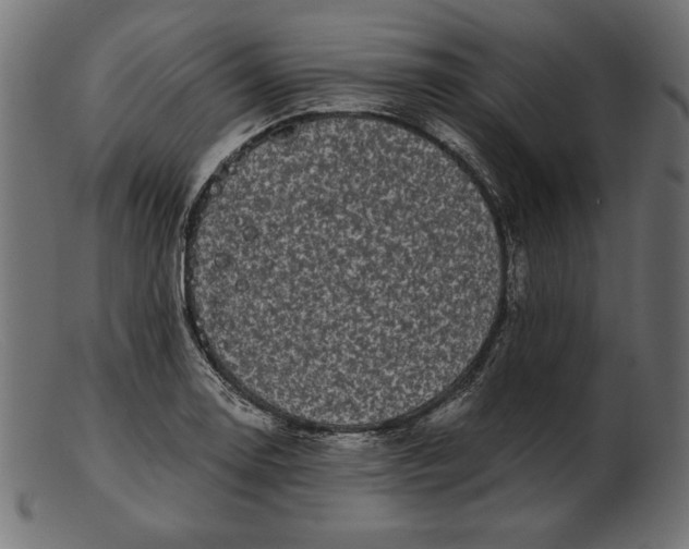 X0000103221130200809111502