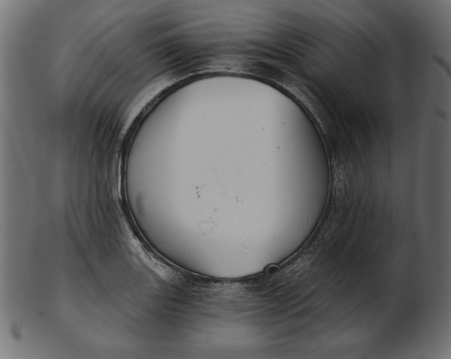 X0000103221131200809111502