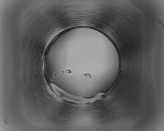 X0000103221132200809111502