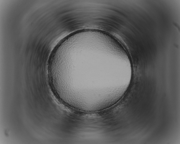 X0000103221133200809111502