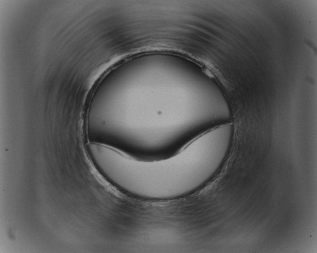 X0000103221134200809111502