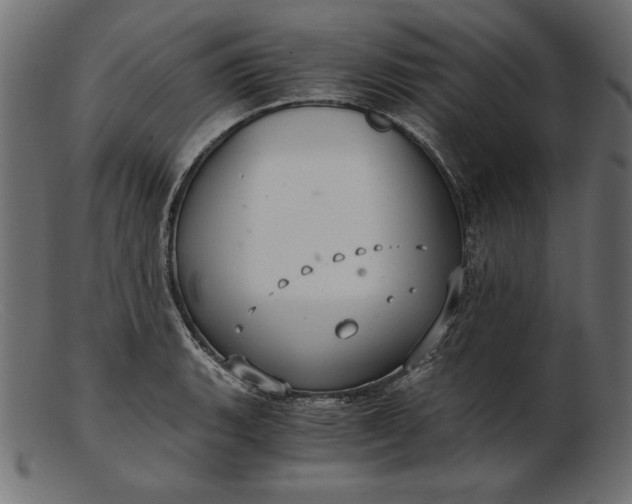 X0000103221135200809111502