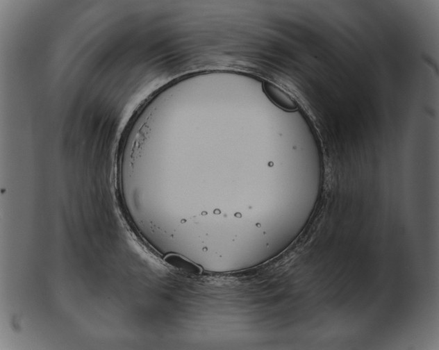 X0000103221136200809111502