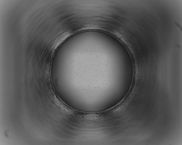 X0000103221137200809111502