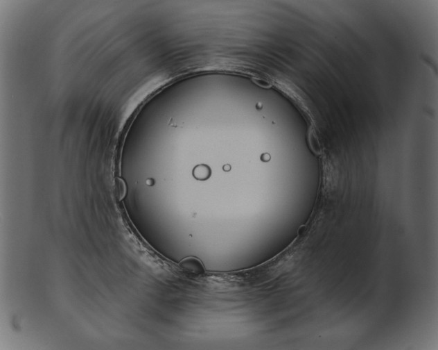 X0000103221138200809111502