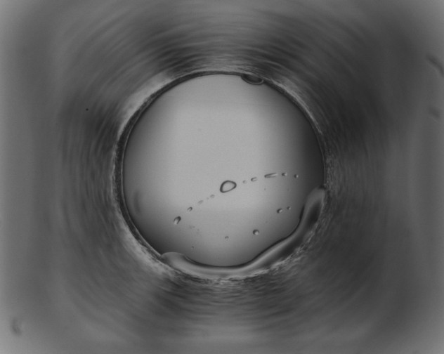 X0000103221139200809111502