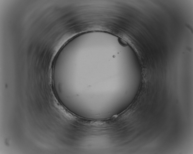 X0000103221140200809111502