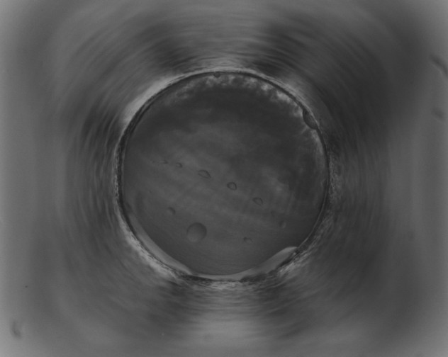 X0000103221142200809111502