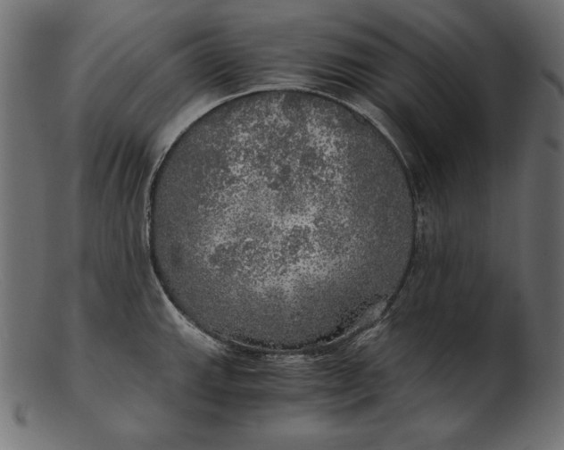 X0000103221143200809111502