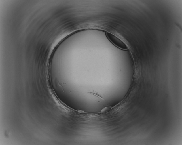 X0000103221144200809111502