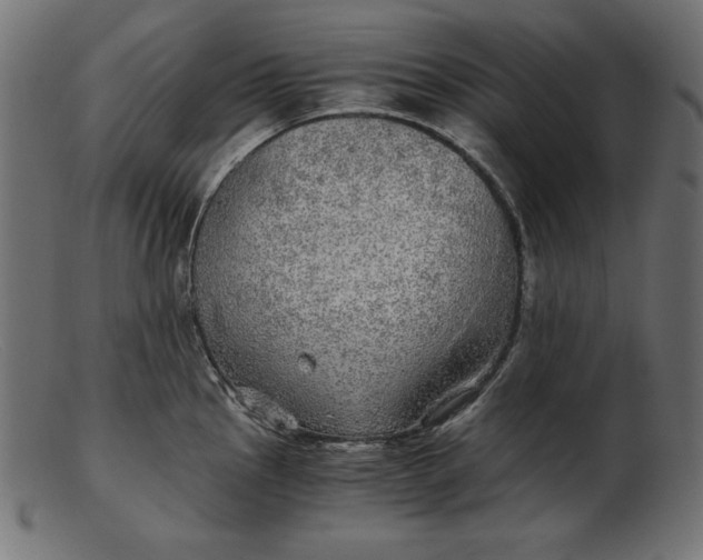 X0000103221145200809111502