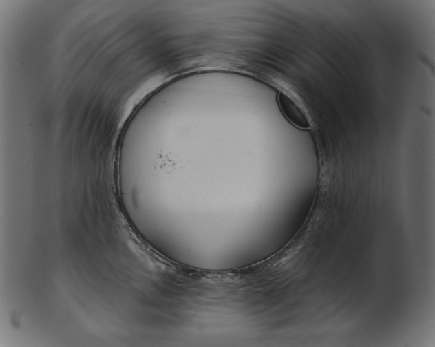 X0000103221146200809111502