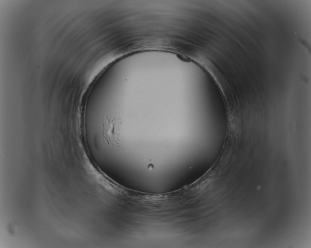 X0000103221147200809111502