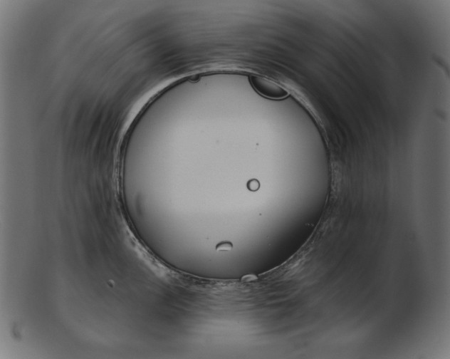 X0000103221148200809111502