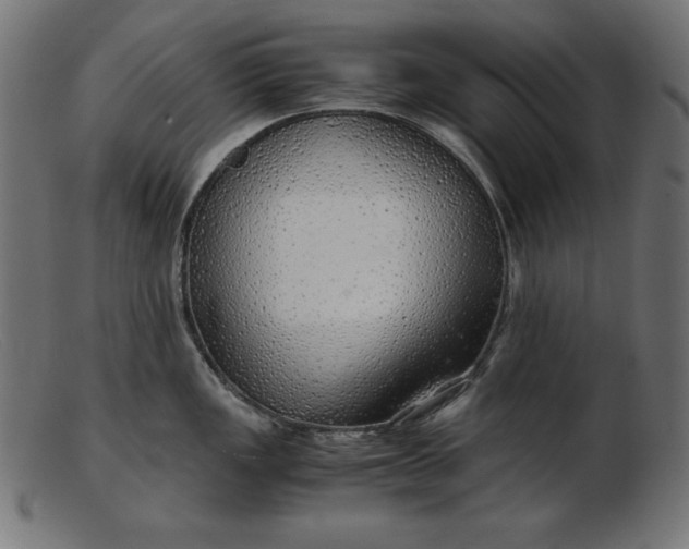 X0000103221149200809111502