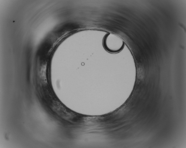 X0000103221150200809111502