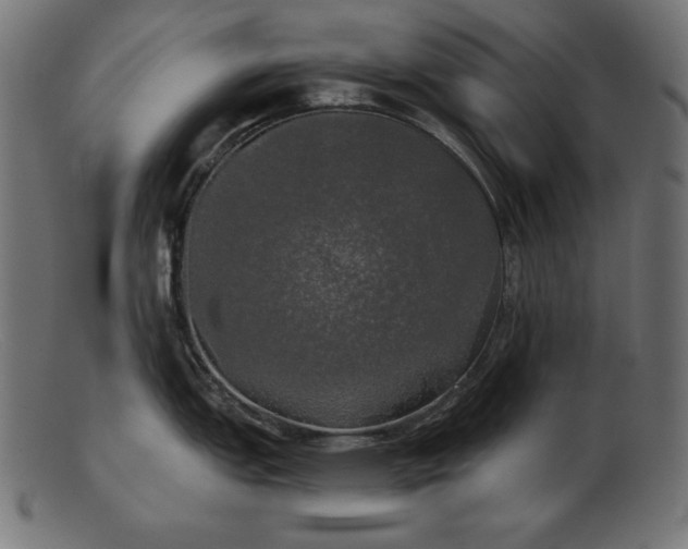 X0000103221151200809111502