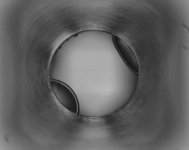 X0000103221152200809111502