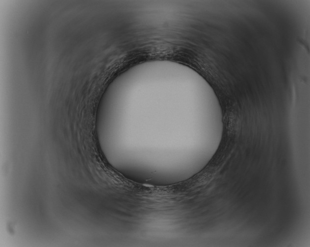 X0000103221153200809111502