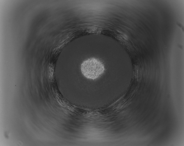 X0000103221154200809111502