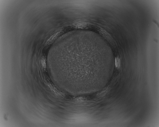 X0000103221155200809111502