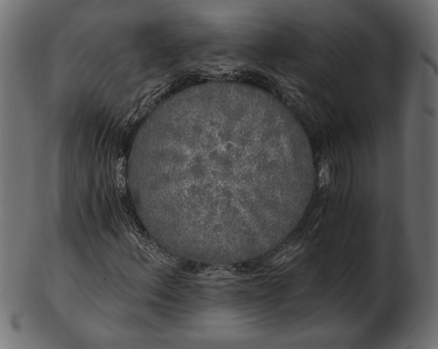 X0000103221156200809111502