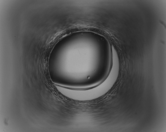 X0000103221157200809111502