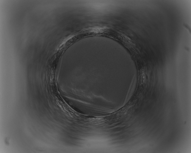 X0000103221158200809111502