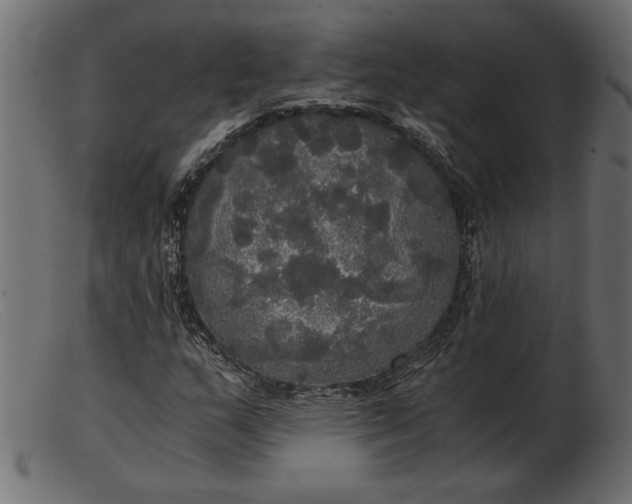 X0000103221159200809111502