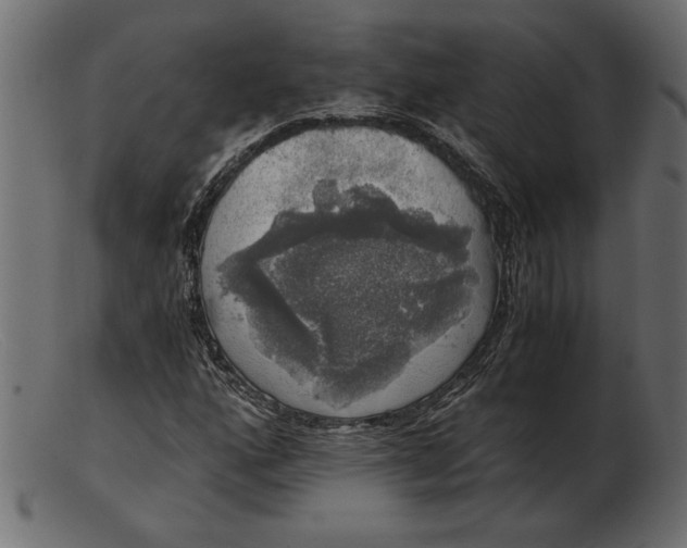 X0000103221160200809111502