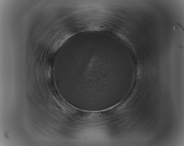 X0000103221161200809111502