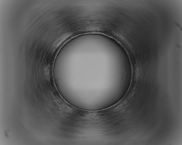 X0000103221162200809111502