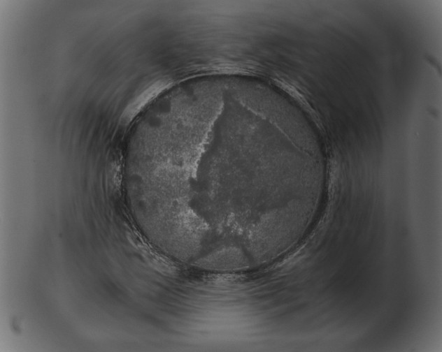 X0000103221163200809111502