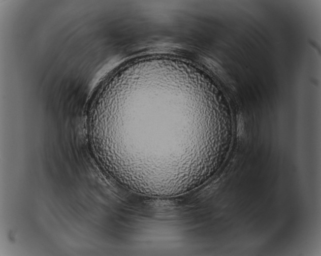 X0000103221164200809111501