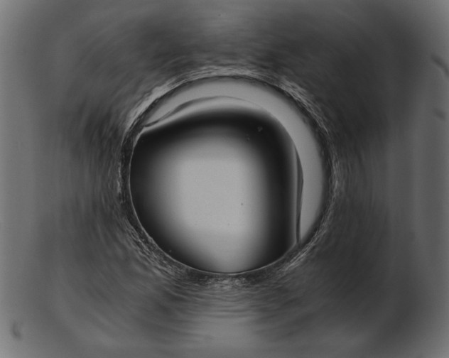 X0000103221165200809111501