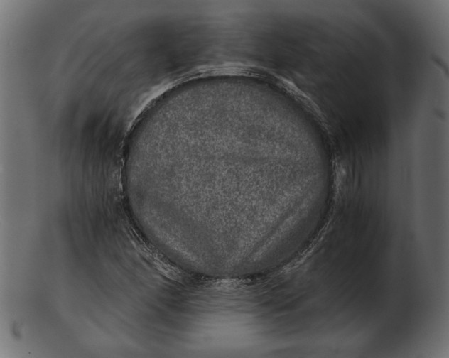 X0000103221166200809111501