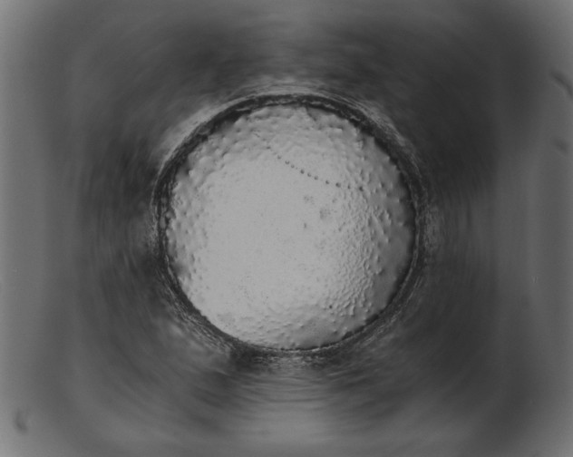 X0000103221167200809111501