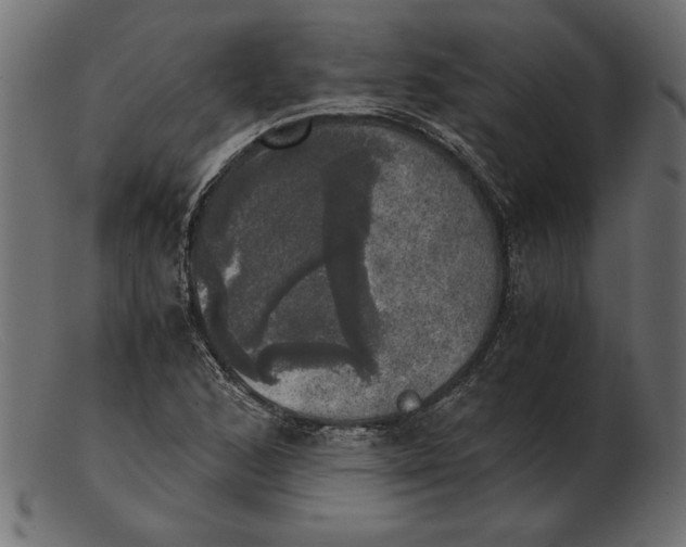 X0000103221168200809111501