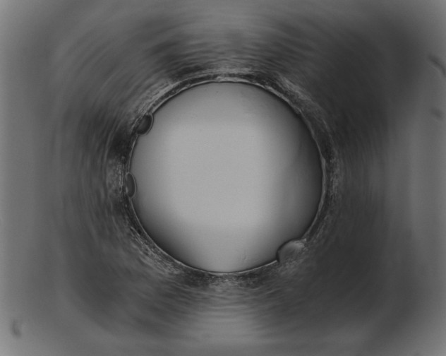 X0000103221169200809111501