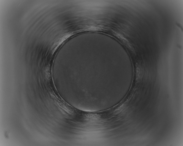 X0000103221170200809111501