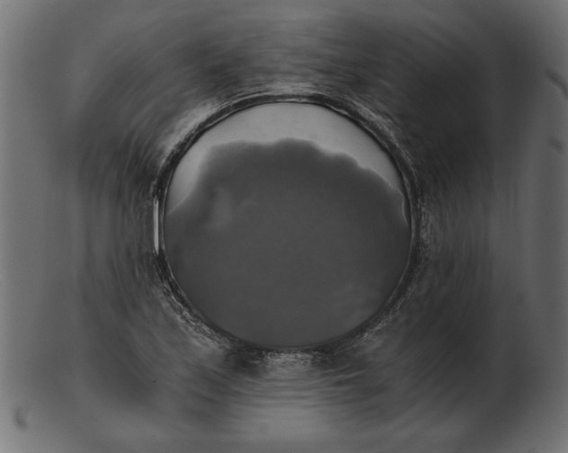 X0000103221171200809111501