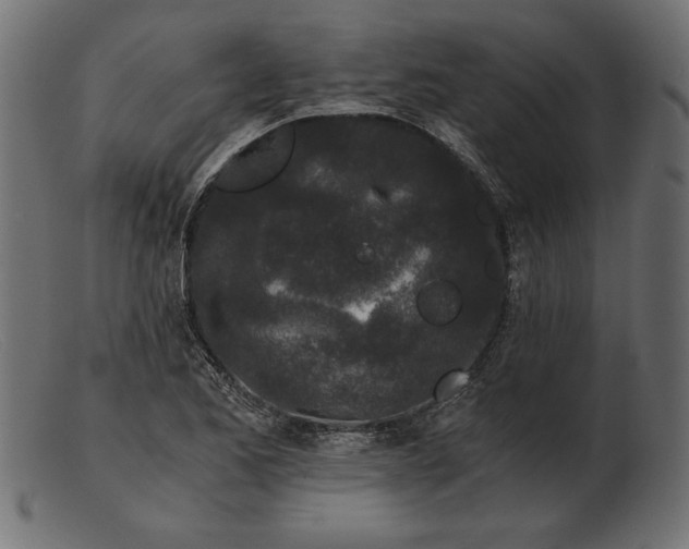 X0000103221173200809111501