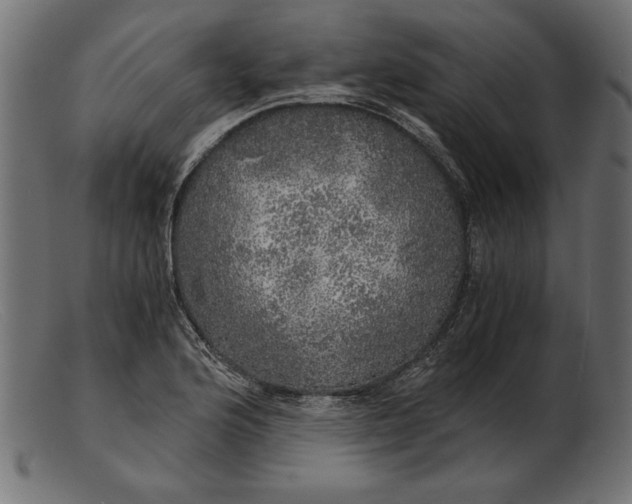 X0000103221176200809111501